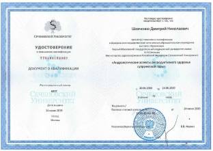 сертификат Шевченко Д.Н